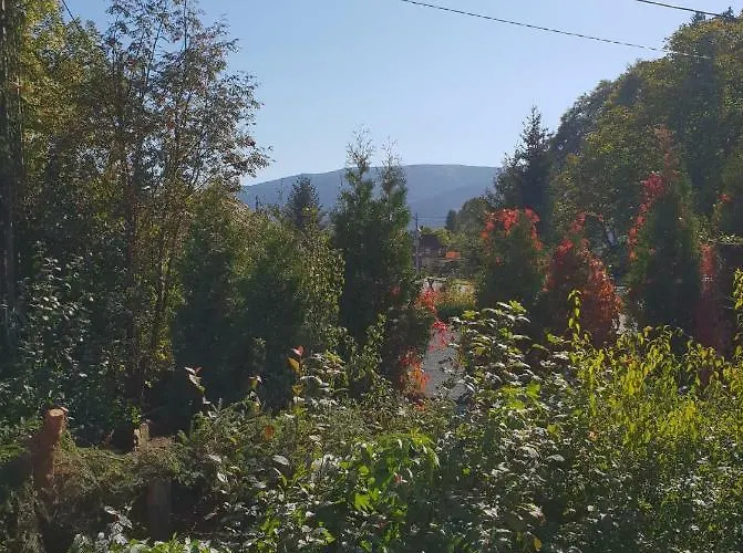 Vinico Piechowice (Karkonosze)