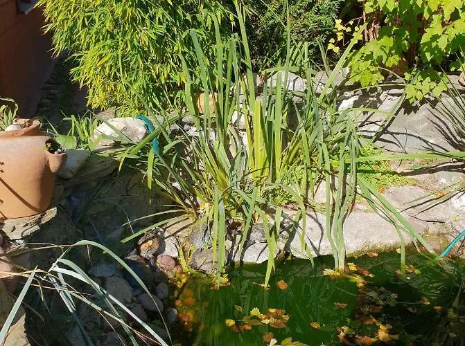 Vinico Appartamento *